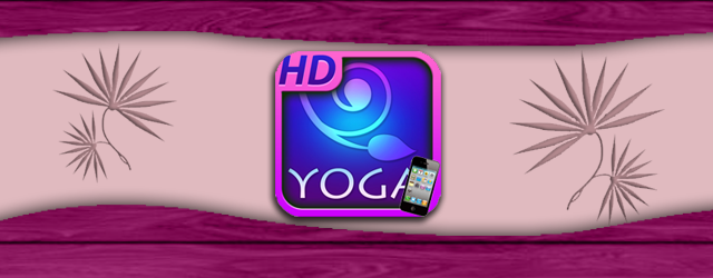 A little over a month ago I reviewed All-in Yoga which gave me the incentive to practice yoga. Finding free time is an issue for my wife and I so we were happy to find a...